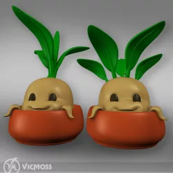 MANDRAKE PLANT