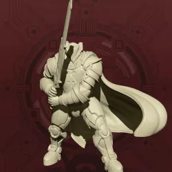 (Mercy's Reach) Void Knight - Swordsman Pose
