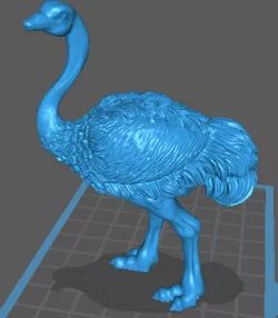 Ostrich