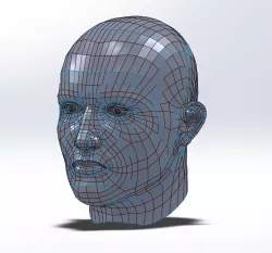 Real 3D Head