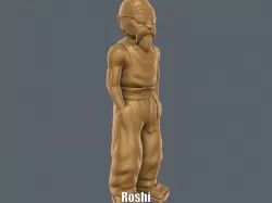 Roshi (Easy print no support)