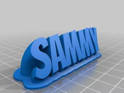sammy 20 10