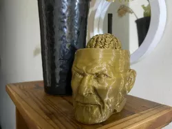 Sigmund Freud's Mate
