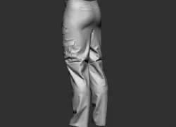 Tactical pants