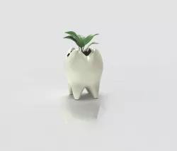 Tooth Planter 3D Print Stl Files For 3D Printers 3D Print Planter Model