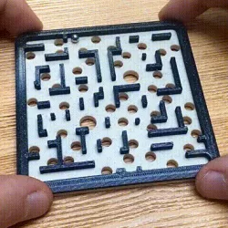 Wild Holes Maze