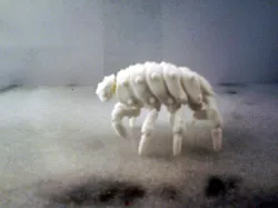 Articulated Predominant Isopod BJD Kit 3D STL Files with & without sprues.