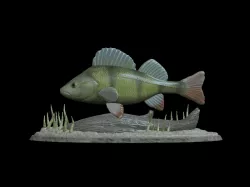 big perch underwater statue detailed texture for 3d printing