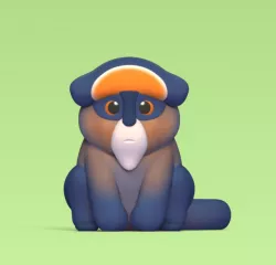 Brazza Monkey