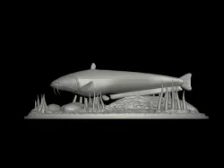 catfish / Siluriformes / sumec velký underwater statue detailed texture for 3d printing
