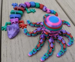 Colored Octopus and Lizard