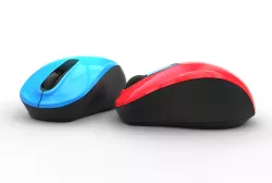 Computer Mouse