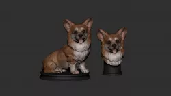 Corgi