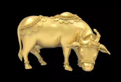 Cow 3d