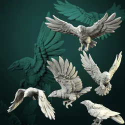 Crows set 5 miniatures pre-supported