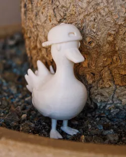 Dancing duck