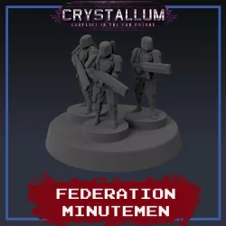 Federation Minutemen Heavy Infantry