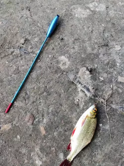 Fishing Float