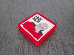 FrameCorp Face Palm