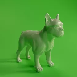 Frenchie
