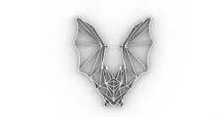 GEOMETRIC BAT
