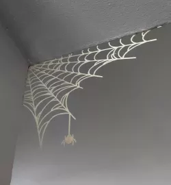!!! Halloween spider web!!!