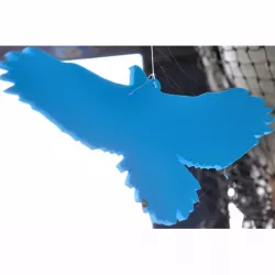 Hawk Silhouette