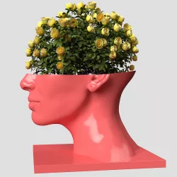 Head Woman Vase