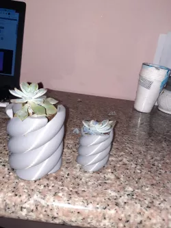 helicoidal pot.