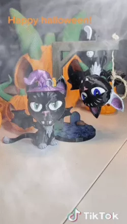 Hocus & Pocus the Batcat's of mischief