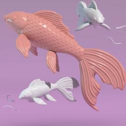 Koifish 3D models - Sketchfab