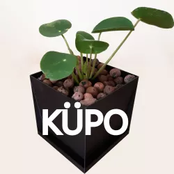 KÜPO - Cubic Planter With Integrated Saucer