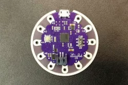 Lilypad Bumper
