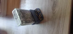 Messor Seed Feeder