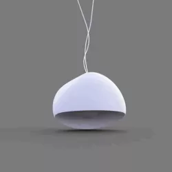 Organic Lamp