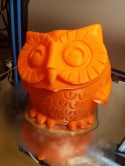 Owl Pot