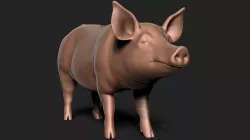 pig 3D print model