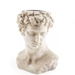 Pot David