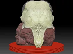 predator