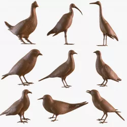 Printable birds
