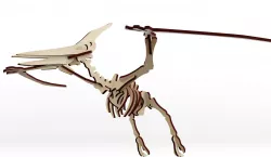 Pterodactyl - 3D Puzzle