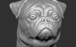 Pug head for 3D printing
