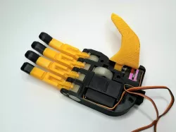 Robotic hand