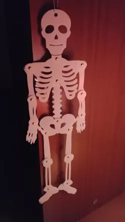 Skeleton 2D