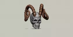 Skull with Ibex goat horns