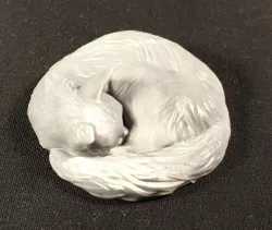 Sleeping cat