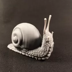 Snail for 3D printing