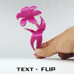 Text Flip - Lily