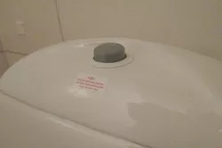 Toilet push button
