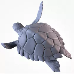 Turtle